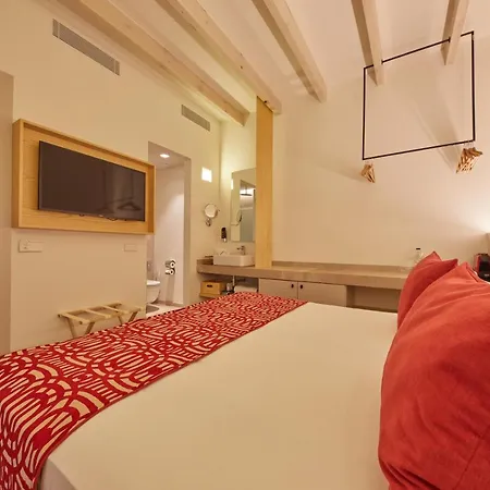 Fil Palma de Mallorca