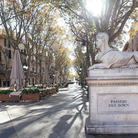 Fil 4* Palma de Mallorca